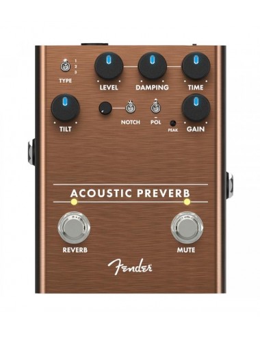 Fender Acoustic PreAmp Reverb
